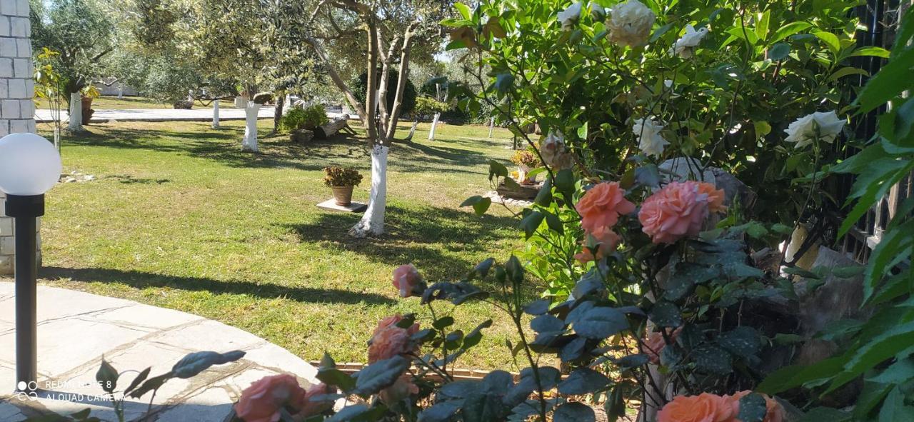 Villa Ekali-Haus Nea Iraklia Esterno foto